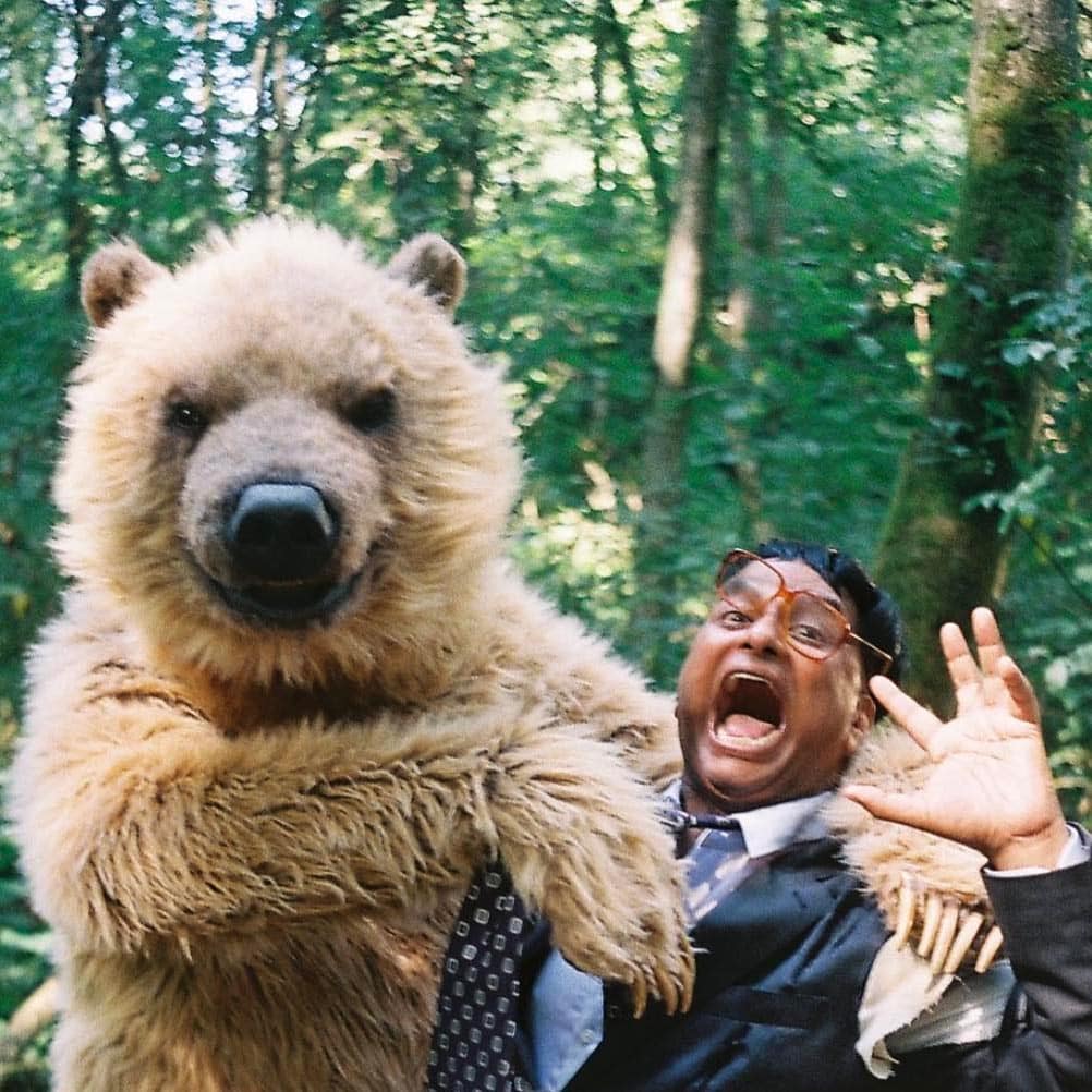 realistic grizzly bear costume like paddington for film tv and events by tv bears international shoot for nibc