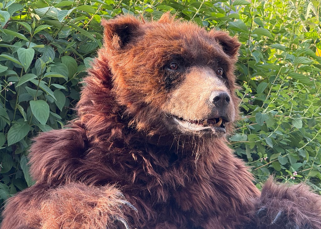 realistic brown bear suit hire available in manchester london ny and los angeles