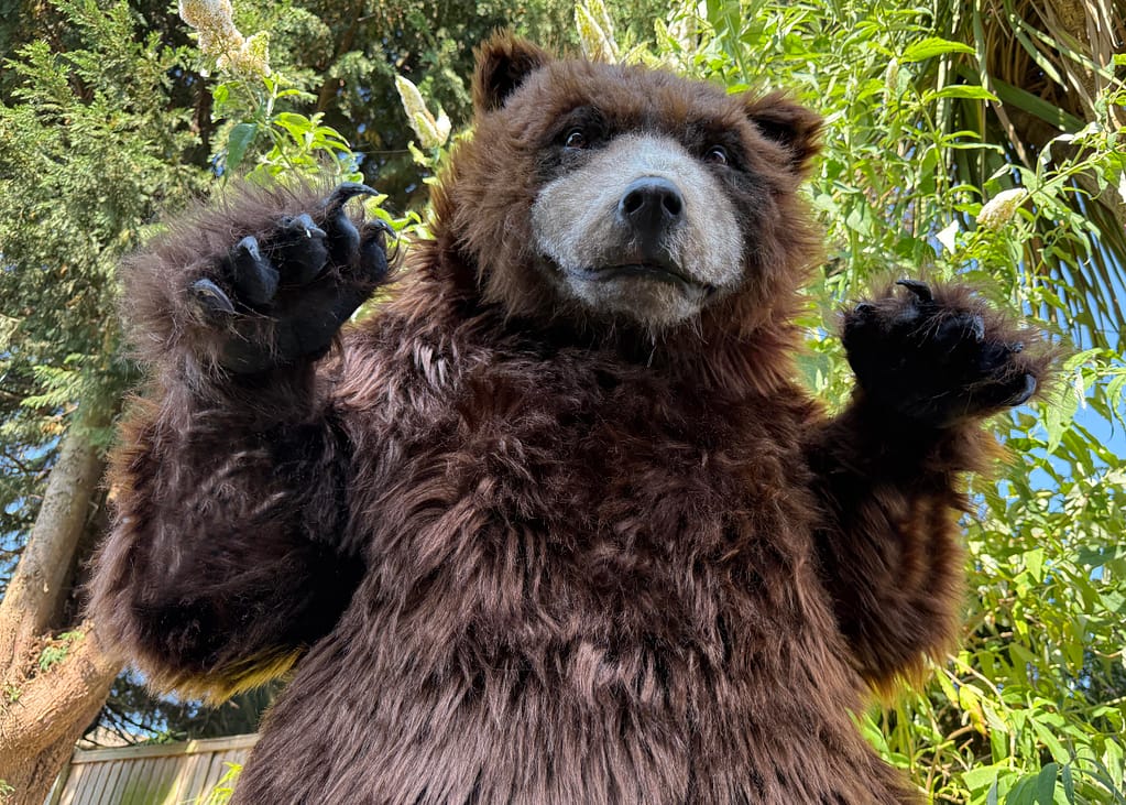 realistic brown bear suit hire available in manchester london ny and los angeles