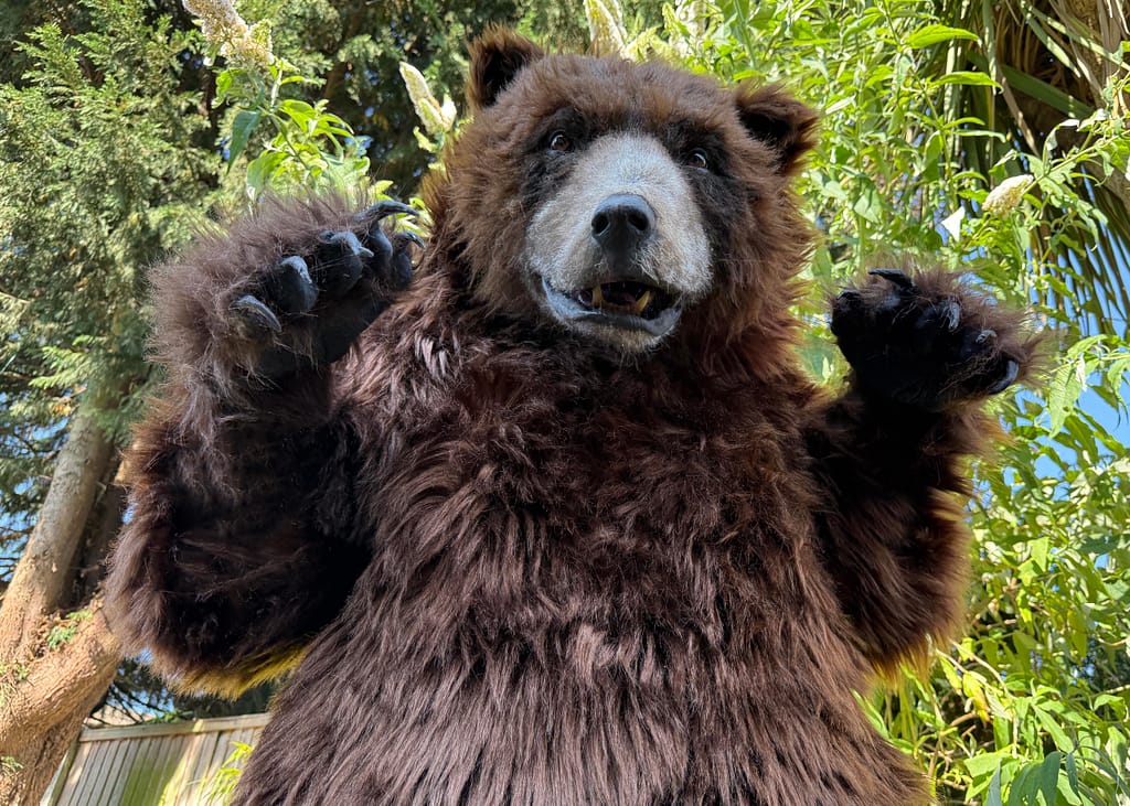 realistic brown bear suit hire available in manchester london ny and los angeles