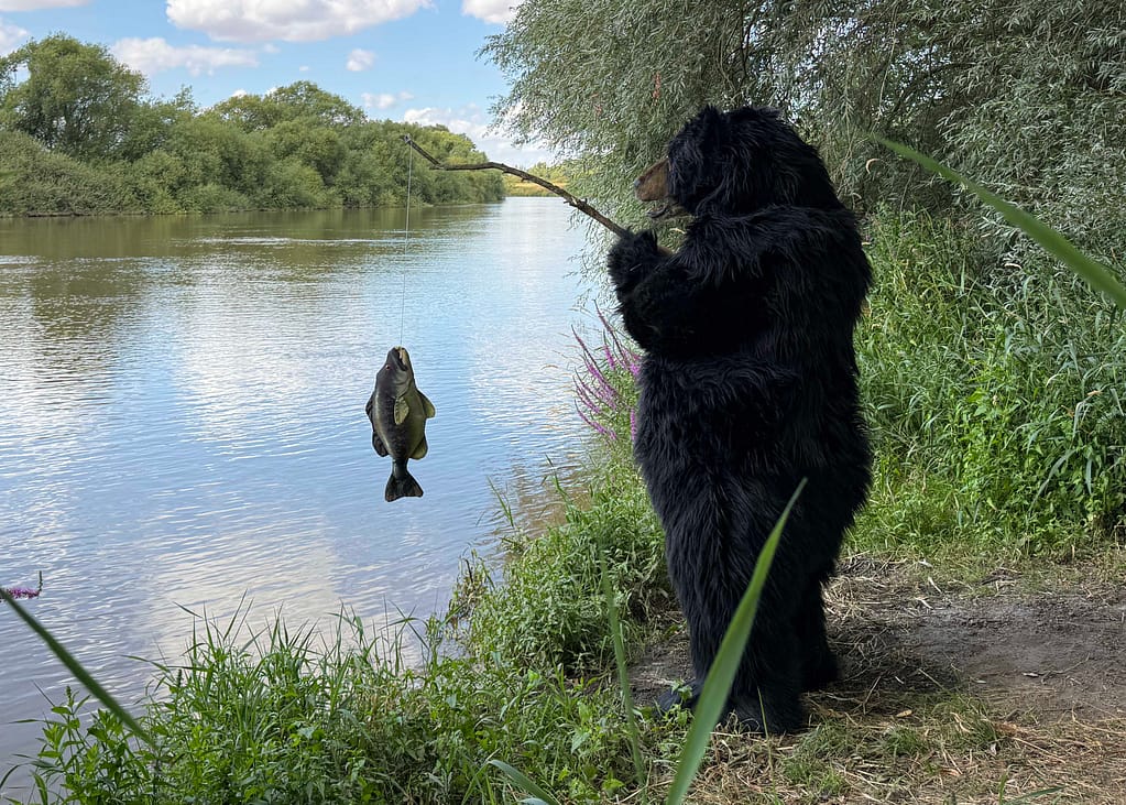lifelike black bear costume available for film productions in London and across the UK