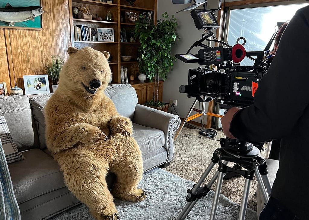 realistic grizzly bear costume for film tv and events by tv bears international