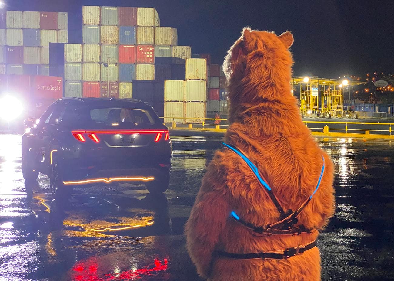 realistic grizzly bear costume for film tv and events by tv bears international