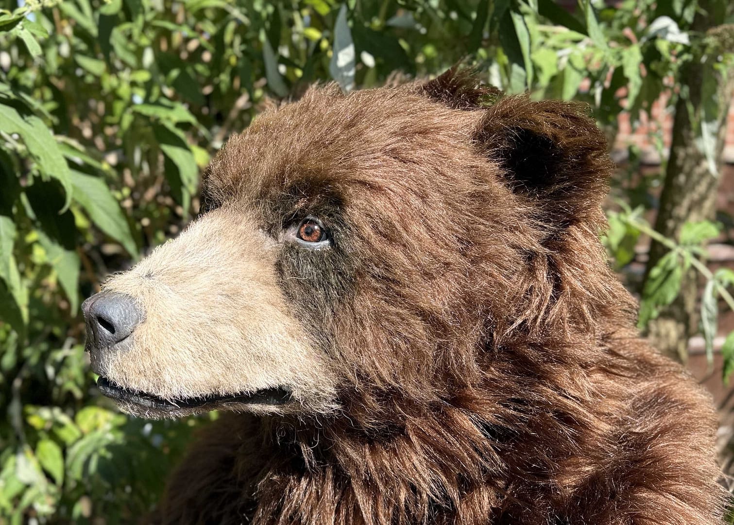 realistic brown bear costume available for hire in manchester london ny and los angeles