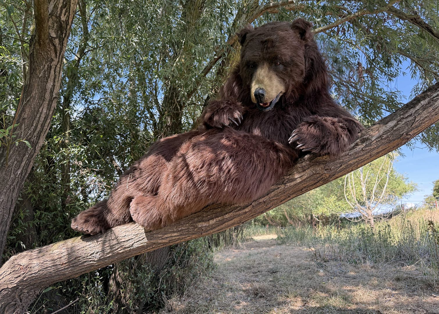 lifelike North American brown bear costume for film TV and commercials
