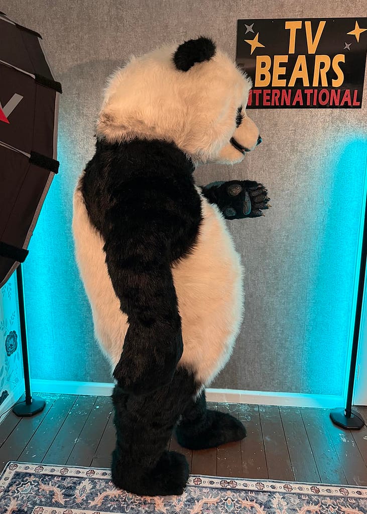 Pan realistic panda character ready for a professional production