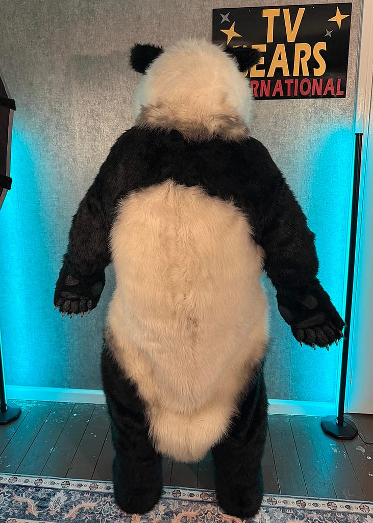 Pan realistic panda character supported by the TV Bears International team