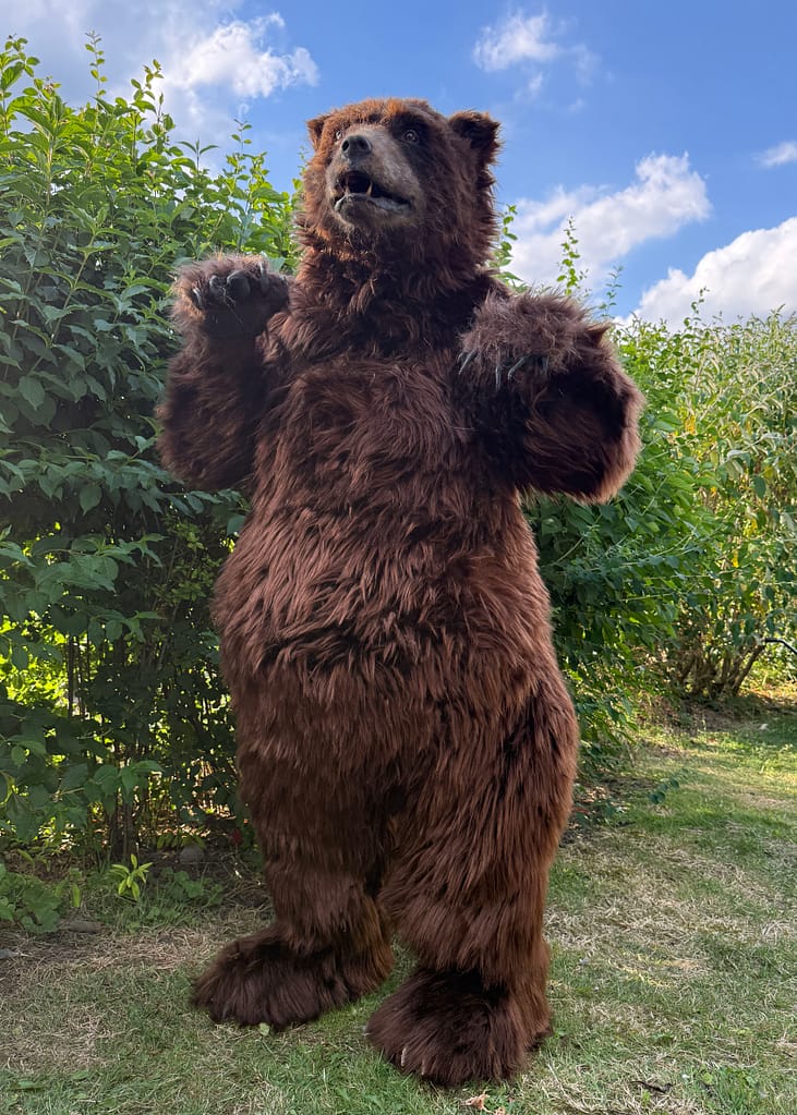 realistic brown bear suit hire available in manchester london ny and los angeles