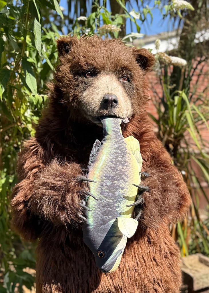 realistic brown bear suit hire available in manchester london ny and los angeles