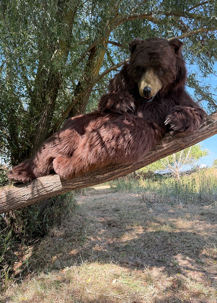 realistic brown bear costume for film and television productions