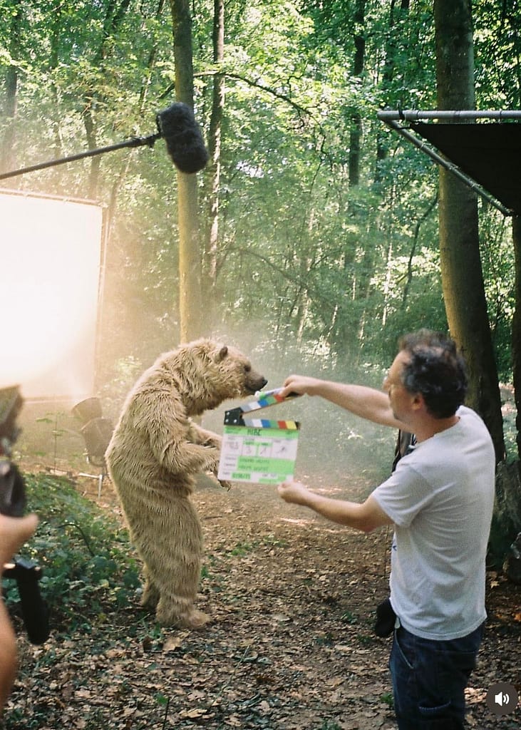 Grizzly bear character in a practical creature suit