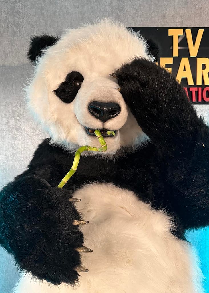 Pan realistic panda character close production reference