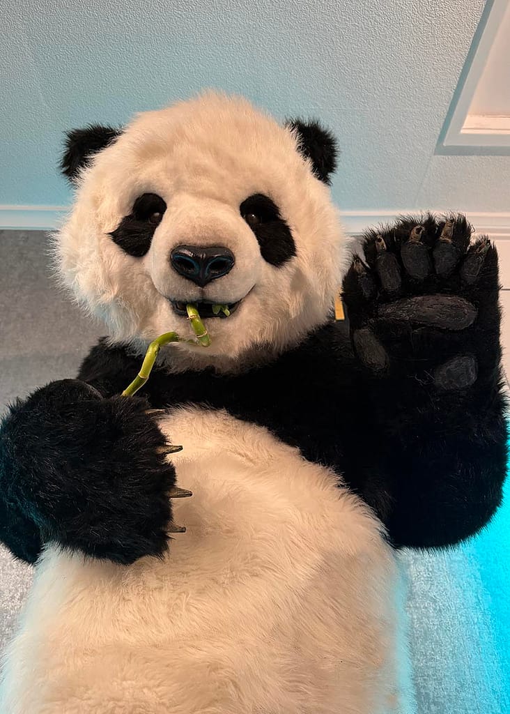 Pan realistic panda character full-body reference