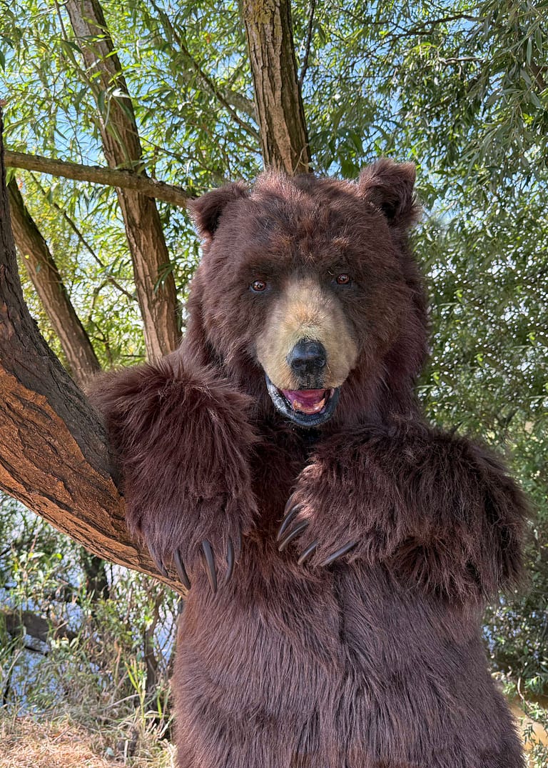 Mack the realistic brown bear character showing natural body language