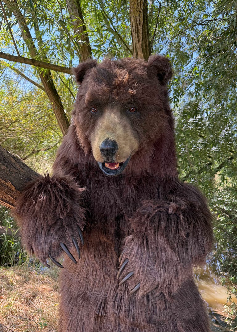 Mack the realistic brown bear character ready for a professional production
