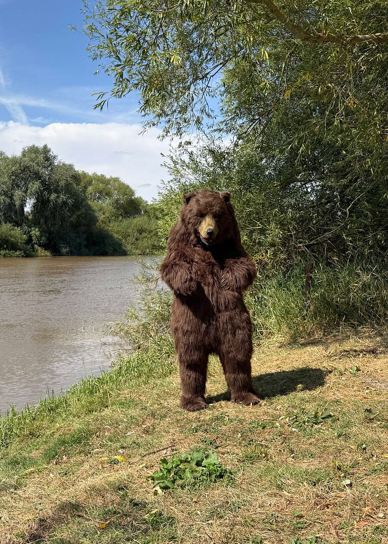 Full-body view of Mack the realistic brown bear character
