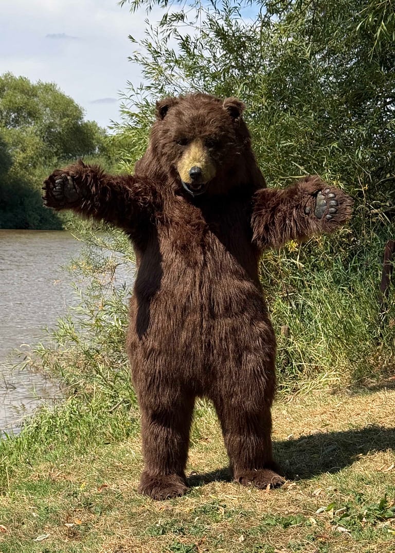 Mack the realistic brown bear character for film and television