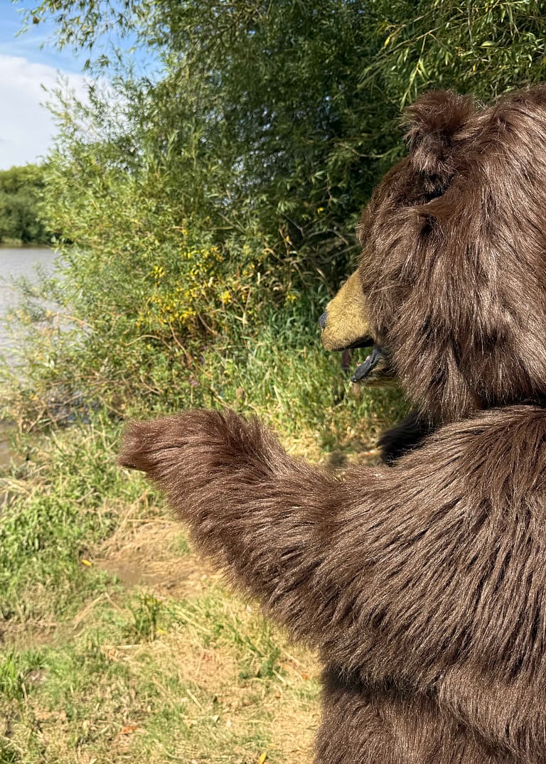 Mack realistic brown bear character production reference