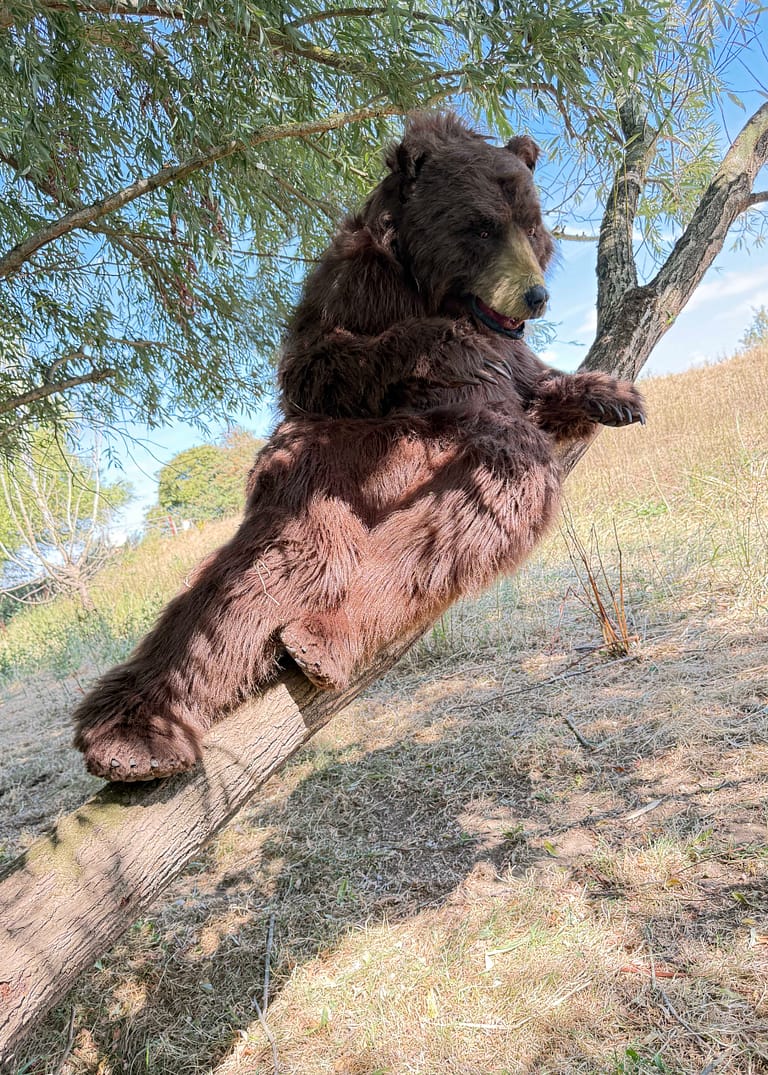 Mack lifelike brown bear character full-body reference