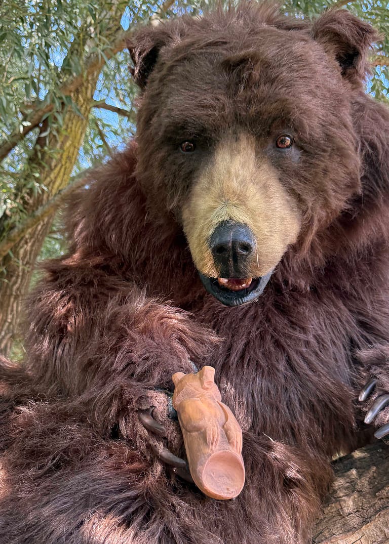 Lifelike North American brown bear character for film and television