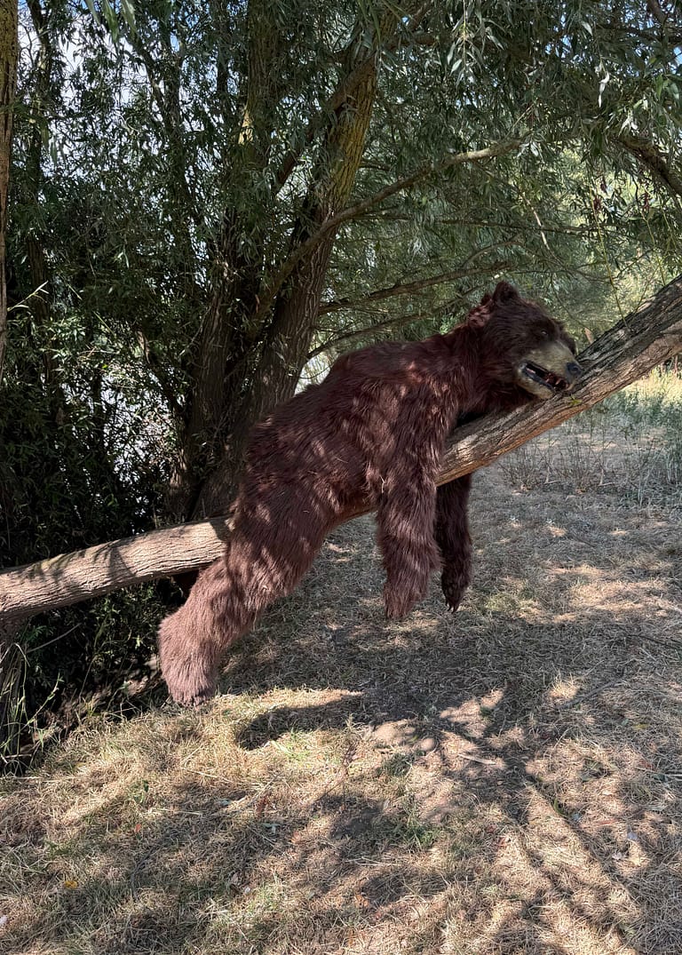 Mack realistic brown bear character close production reference