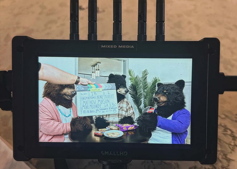 Full television commercial production featuring a realistic bear character