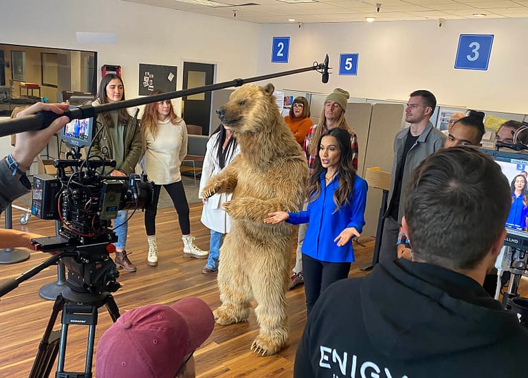 Realistic grizzly bear character for professional film and event work