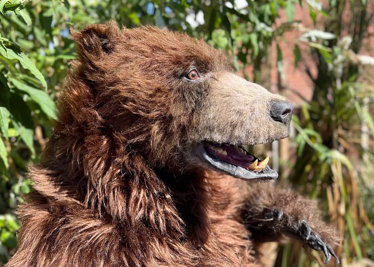 Realistic brown bear character available for productions in London and Los Angeles