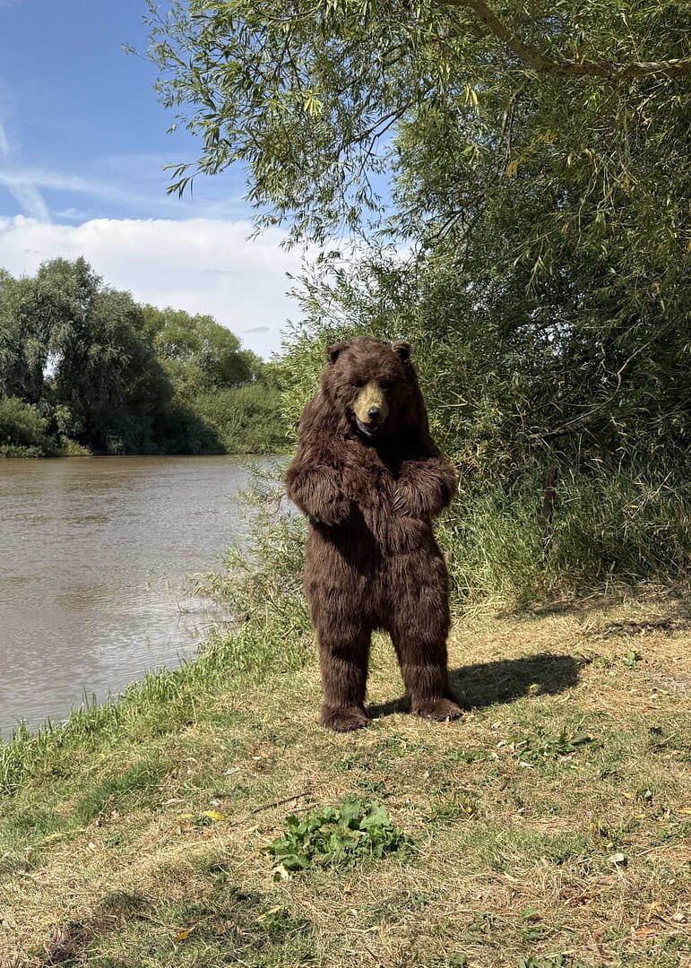 professional brown bear creature suit available for UK European and US productions