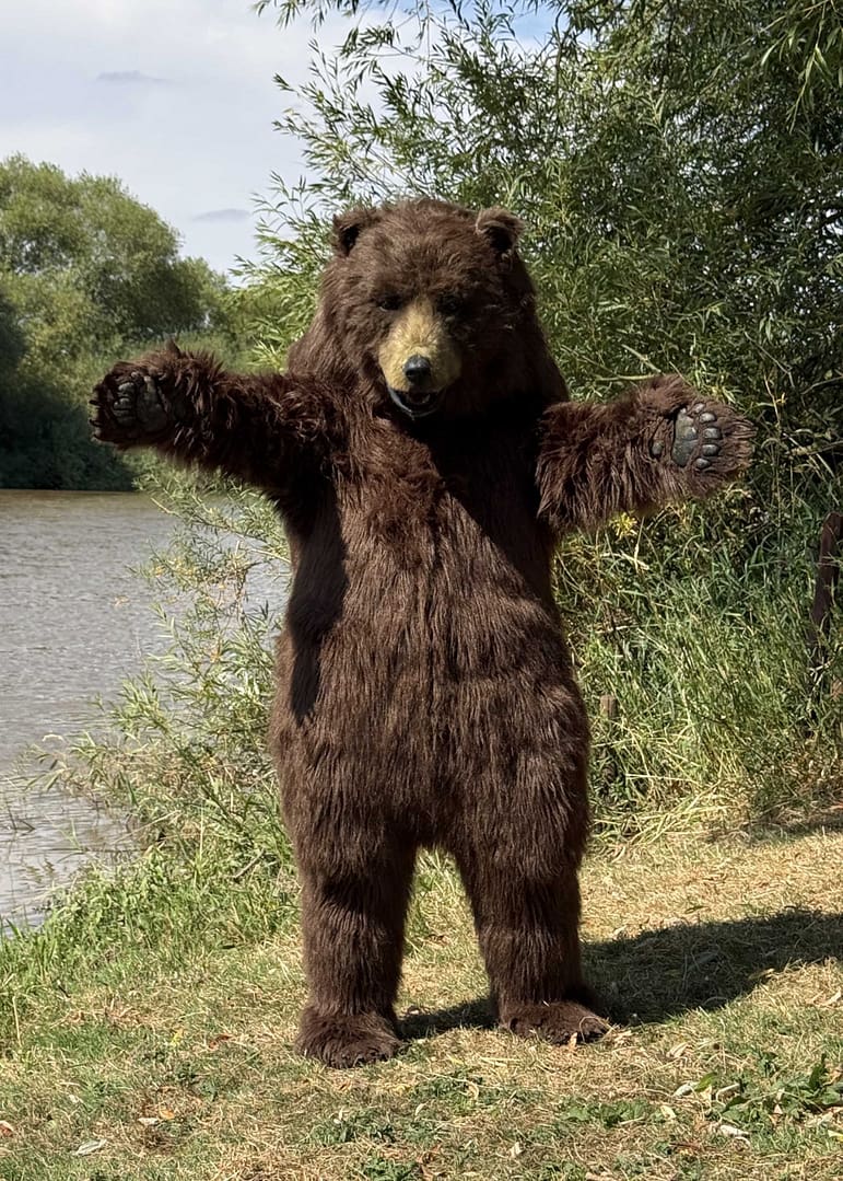 professional brown bear creature suit available for UK European and US productions