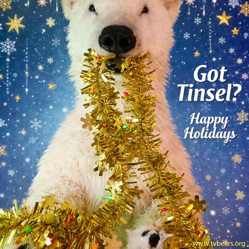 happy holidays realistic polar bear suit for film tv and events by tv bears international